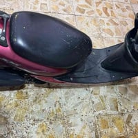 عصفورية • هندر سلف • شغال