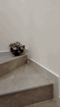 السلام عليكم مشتمل للبيع منطقة عميشه 100متر  طابق واحد مطلوب اسكان بشارع دلالية محمد الاماره للاستفسار الاتصال ***********
