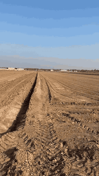 سلام عليكم 5 دوانم طابو زراعي سند 25 العنوان ابو غريب منطقة السميلات قرب مدرسة  الحدباء تصال عله رقم فقط ***********
