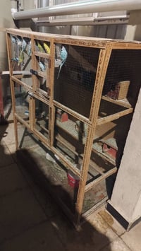 طيور الحب • طيور • طيور زينة • قفص طيور • 15 طير