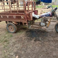 ستوته • بدون وراق • صويره