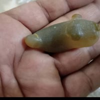 حجر هندي عقيق ٥الاف وسليماني ١٠لالف للبيع
