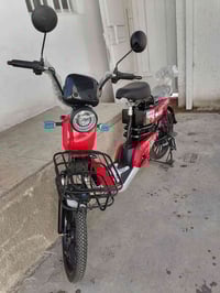 دراجة شحن • حجم 20 • الدورة بغداد