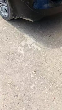 سوناتا • هيونداي • بابل