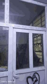 قواطع بلاستك عدد 2 للبيع ارتفاع ٣ م عرض ٢م القاطع الثاني ارتفاع ٣م وعر...