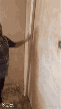 السلام عليكم ورحمه الله وبركاته تشميع مع جص مع بورك مع رفع انقاذ بعد العمل وبأسعار  مناسبه ان شاء الله ملاحضه شغل استلام مهندس مانستلم اي مبلغ بعد معاينه العمل من قبل اصحاب لاختصاص للتواصل ‏‪***********‬‏
