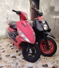 ماكس مضلع • ياباني • كفاله عامه