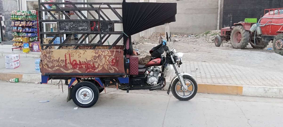 ستوتة رقم سنوية كامل سعر تعال خاص


**إذا كنت صاحب هذا الإعلان وتريد حذفه لأي سبب، رجاءا أرسل رسالة إلى الدعم الفني**