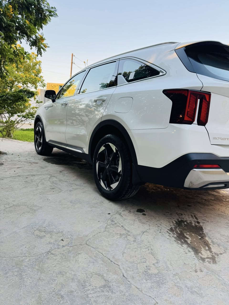 السلام عليكم
سورينتو ٢٠٢٤ للبيع خليجي 
مكينه ٦ سلندر 
كير ماوس مع شفتات ستيرن
٧ راكب
ماشيه ٣٥ 
لايت لد كشاف زنون حساس امامي حساس خلفي 
كاميره متحركه
هاند بريت بصمه 
بردات خلفيه 
تشغيل عن بعد 
دشبول ٧ ألوان
شاش ديجتال
صندوق كهرباىي 
ثلث قطع تبريد 
شاحن تلفون 
السياره مكفوله كفاله عامه من التبديل والبارد والشخط 
مواصفات دوليه ضمان ٥ سنوات 
رقم بغداد 
السعر ٣١٠ وبيها مجال 
المكان الناصريه 
للتواصل الرقم ***********
