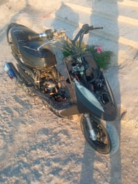 ماكس • نضيفه • بوشه 49