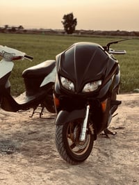 فورزا • ٢٠٠٩ • زنون