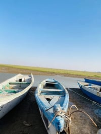 بلم • ١٦ ذراع • خويسات