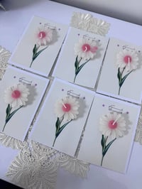 ترتيب • زبونتي • عاشت الايادي