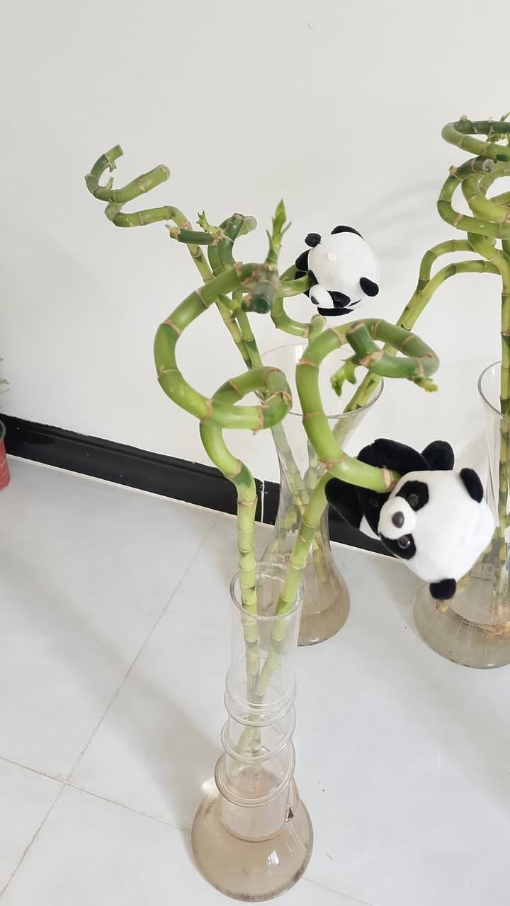 توصيل داخل كركوك الفين بس ليوم


**إذا كنت صاحب هذا الإعلان وتريد حذفه لأي سبب، رجاءا أرسل رسالة إلى الدعم الفني**