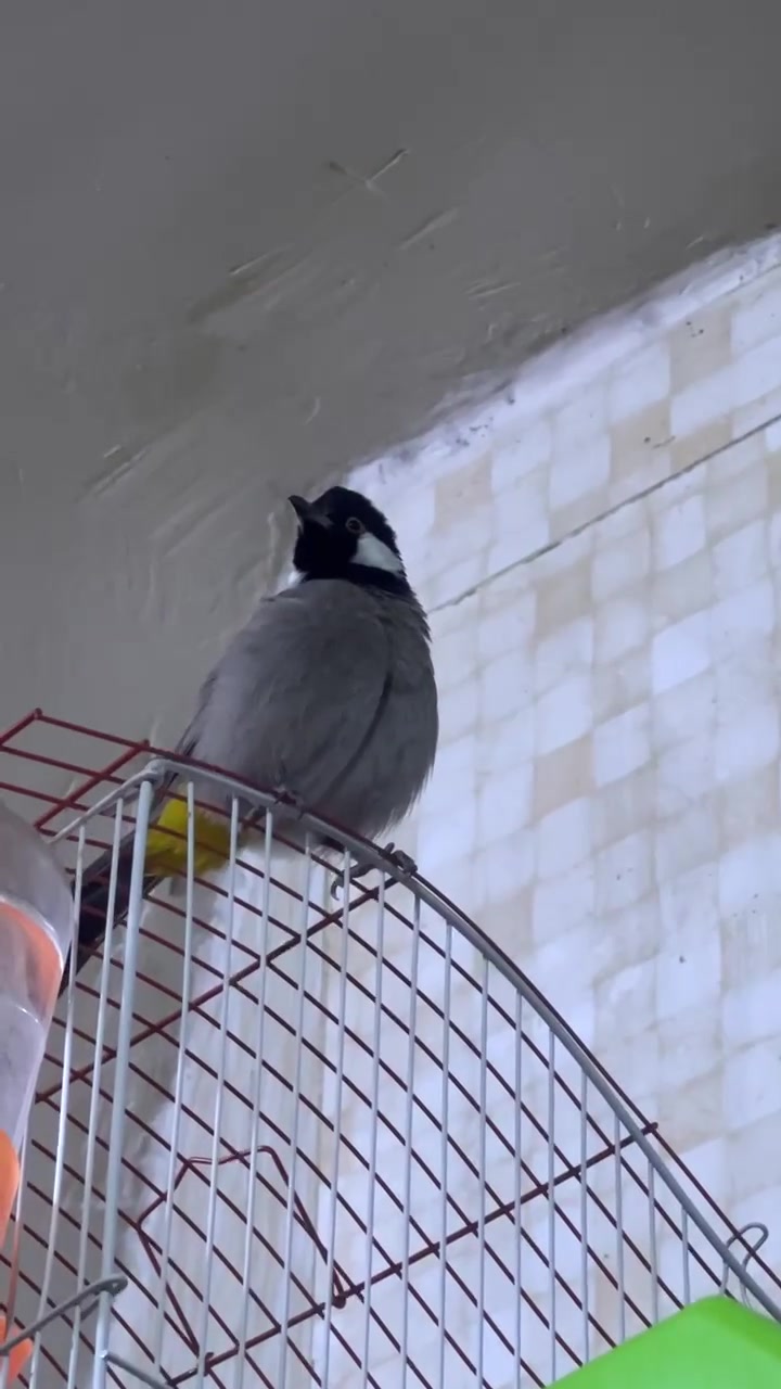 بمية وخمسين بغداد الامين


**إذا كنت صاحب هذا الإعلان وتريد حذفه لأي سبب، رجاءا أرسل رسالة إلى الدعم الفني**