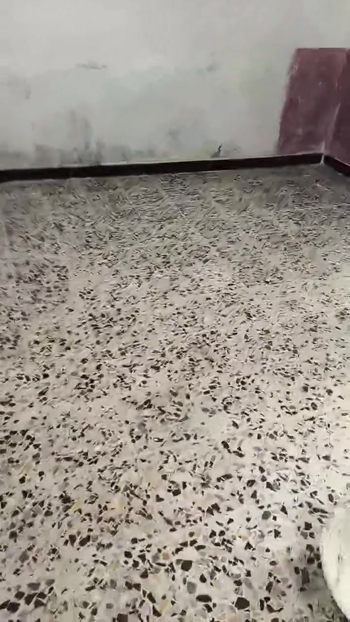 السلام عليكم خلفه  لباخ ارضيات متفرغ حالين لبخ جص اسمنت 
واحهيات اشتغل متر يوميه كباله  
التواصل انتصال ***********
او خاص
