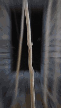 نجار صقف متفرخ   هاي شغلانا  تواصل عل ارقام 
***********.    ⚒️🔨 نوزاد نجار ⚒️🔨
***********
