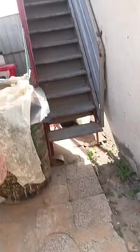 درج للبيع السعر 200 وبي مجال الشراي يتصل ع هذا رقم 07722910273