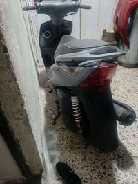 ثعلب مكفوله من كلشي متصرف الف عليها للبيع مكان بغداد الحريه سعر950 (07...