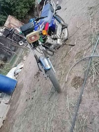 سفانه 21 • مكفوله • جبله