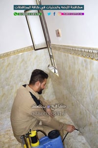 مكافحة الارضة • علاج الارضة • النمل الابيض • رش مبيدات • مكافحة الحشرا...