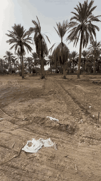 السلام عليكم ارض زراعيه 7 دونم للبيع مكانها ابو غريب منطقة الشيحه التفاصيل بالفيديو للاستسفار ***********
