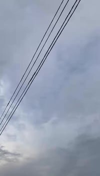 بوليس • نضيف • الزبير