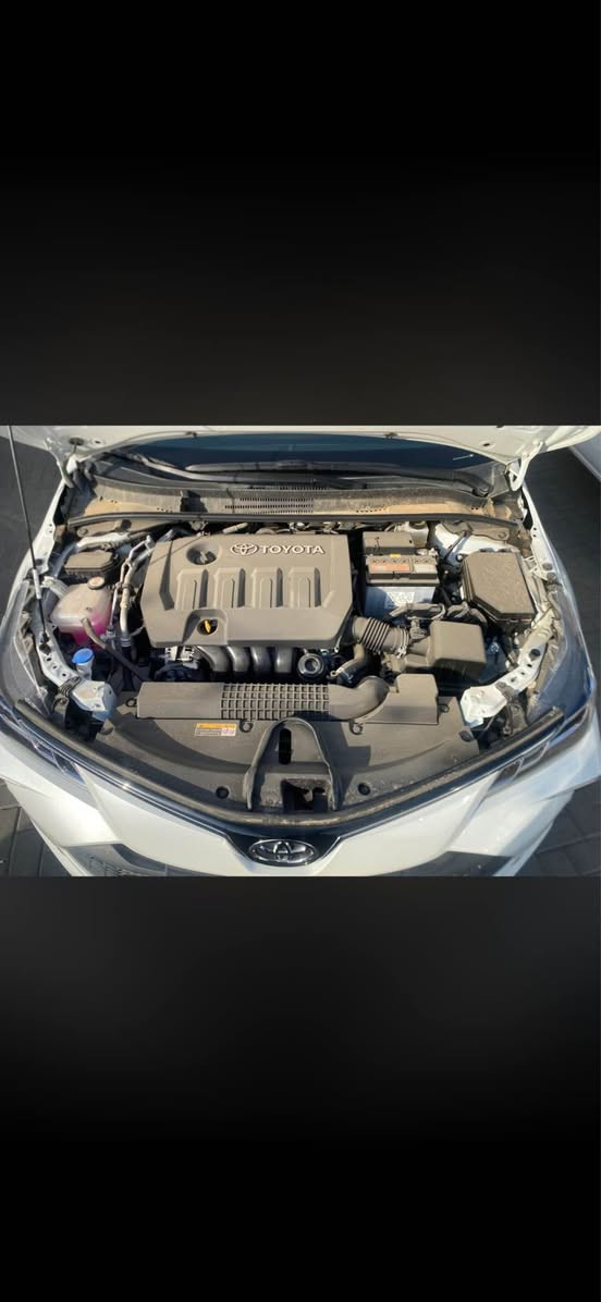 كورلا 2025 ساز بانزين زيرو كلين 
ماشية 900 كيلو حته مو الف بس جبتها من بغداد ورجعت بيها مكفوله حته من النمشه والزلغ فول مواصفات 1/1 
مكاني بصرة جزائر سعر 210 نهائي شراي اتصل *********** البصرة, العراق
