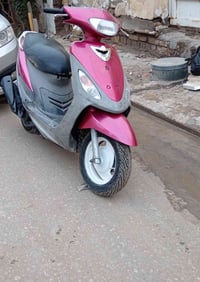 البيع ماكس منغولي بس كفرات مبدله تصل هاذ رقم 07837033982