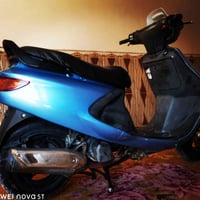 فراشة فحل • دسك امامي • نجف الغدير