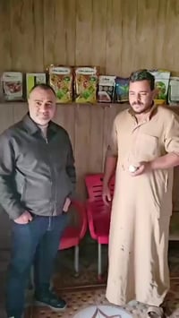 السيلازل • باذنجان • مكافحة حشرات