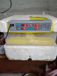 فقاسة للبيع جهاز طبقتين ياخد   عدد البيض  112 توماتيكي رقم الهاتف 0750...