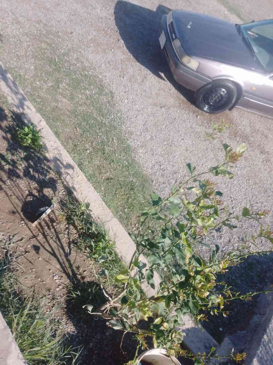 ‏‪***********‬‏
