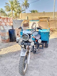 ستوتة • ستوتة جمرة • ستوتة 2023 • ستوتة سمائي • ستوتة للبيع • ستوتة با...