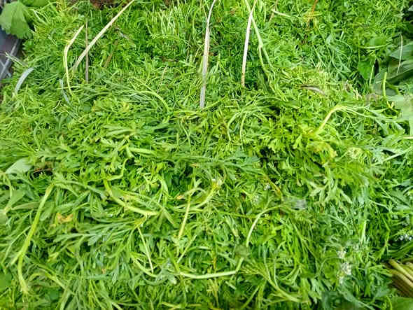 صلو على الحبيب قلبك يطيب

بسم الله ماشاء الله
خيرات اليوم السبت 2025/11/22

#يوجدلدينا #خدمة #توصيل #كافت #مناطق #ابوغريب

اتصل يوصلك طلبك اباب بيتك

الفرع الاول خرنابات شارع السچه 

***********///***********

#يوجدلدينا #دجاج #ذبح #عراقي

#اسعار #الخضراوات
فجل احمر 250
فجل ابيض 250
اشبنت 250
كزبره 250
حلبه 250
سلك 4/1000
اسبيناغ باكه 750
خضراوات مشكل  10/1000
طرشي امزيت منوع 5000
طرشي مشكل عادي 2500
طرشي عمبه كيلو 3000
خل اسود اصفر ابيض 1000
يتوفر لدينا جبن عرب كيلو 5000
