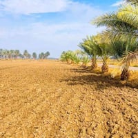 ٢٠ دونم • الرمادي زويغير • عقد زراعي