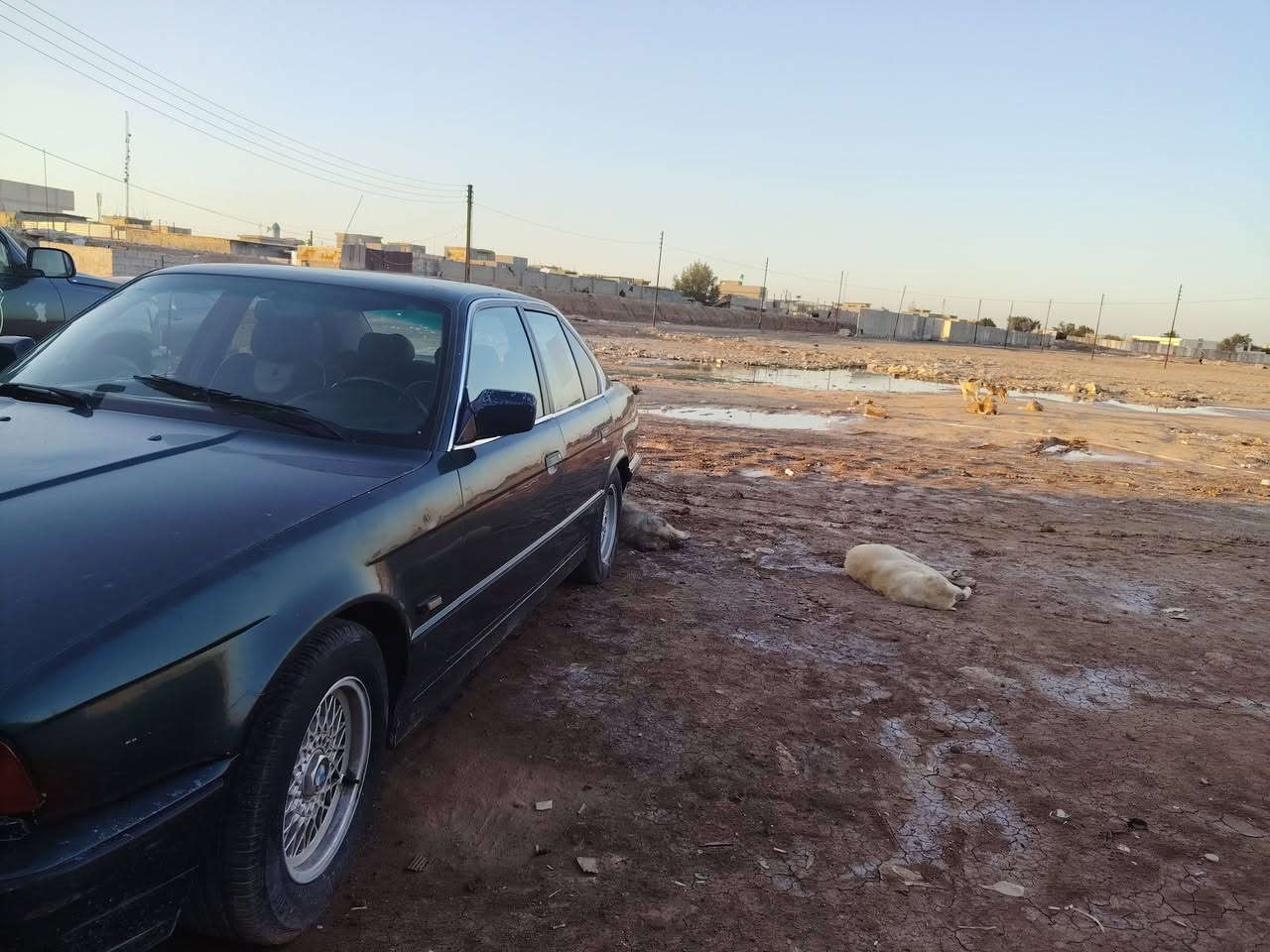 السلام عليكم اخوان بي ام موديل 90 رقم دهوك شمالي كير ومكينه مكفول بيه من الصفحه طخه سنويته ل 2027  شتريد وكاله تحويل اني حاضر وهاذا رقمي ***********
