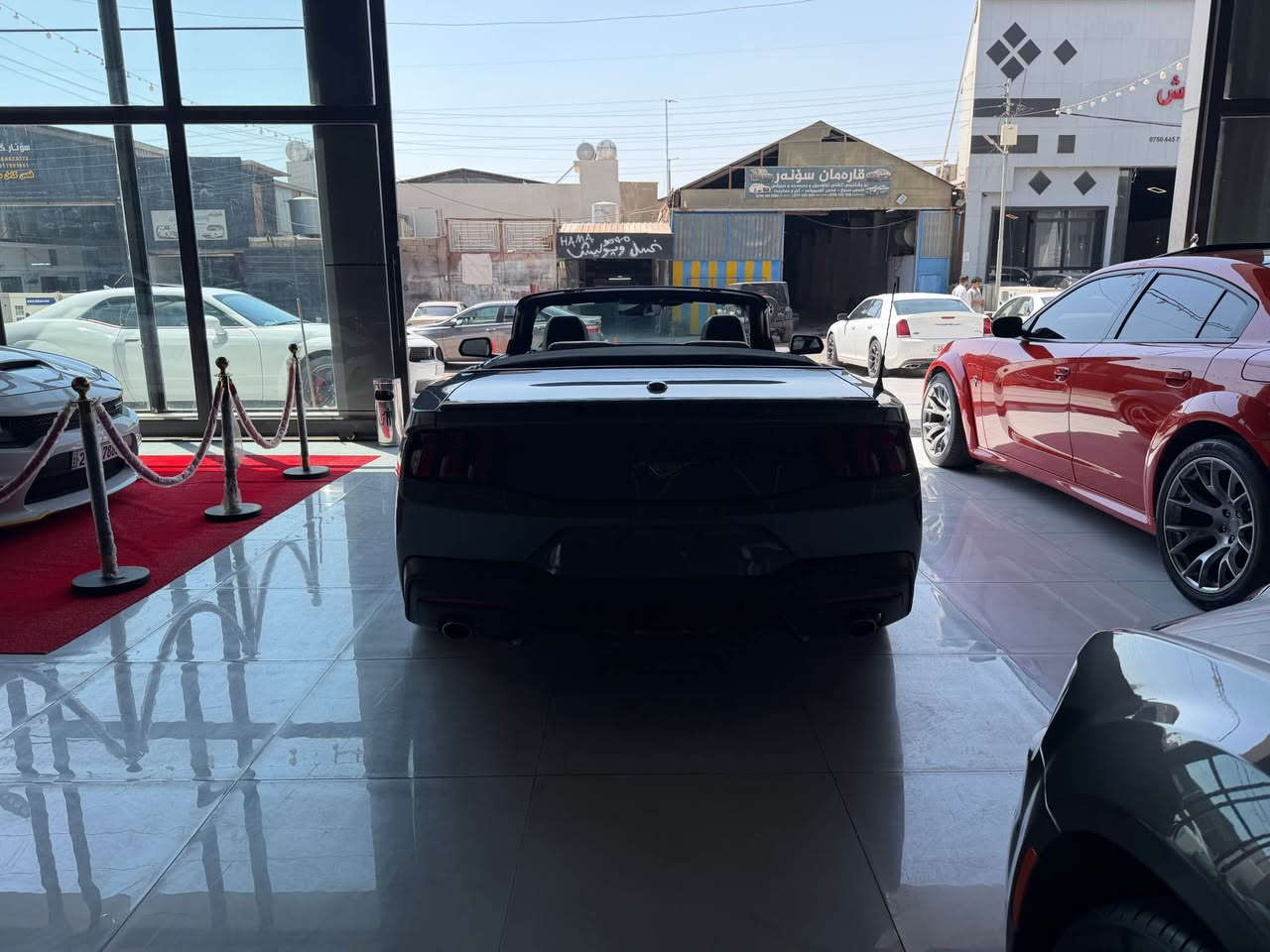 فورت موستانك. ٢٠٢٥. سقف. كه شفم سى پارجه ى سبوخه بى ژورى. سحرى ١٩٥ وه ره قه و كه مك محال. *********** أربيل, العراق
