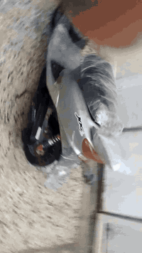 سلام عليكم عندي دراجه عصفوريه فضائي أوراق موجوده مال جناي كهربائيتهاشغاله حلوه السعر 275وبيهامجال قليل مكاني بغداد الشعب حي سومر ***********
