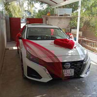 موديل ٢٣ • بلا صبغ • كالار