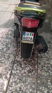 سكنس فحل للبيع مامفتحوحه ابد تجي شغل وتروح سلف هندر العنوان بغداد الرس...