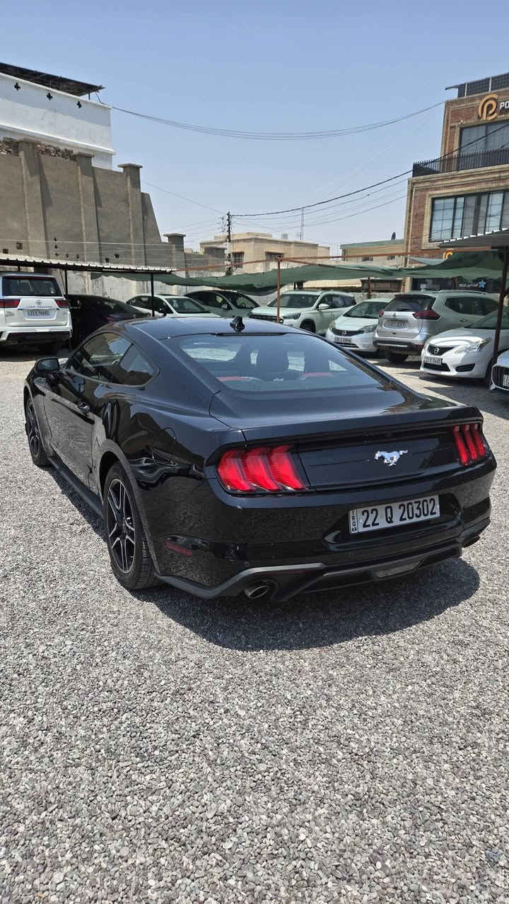 فورد موستانك
موديل ٢٠٢٣
٤ سلندر ٢.٣
ماشي ٢٢ الف فقط
٢ قطع صبغ 
بونيت و جملغ
شاصي سليم
ارباك سستم
عنوان اربيل
*********** أربيل, العراق
