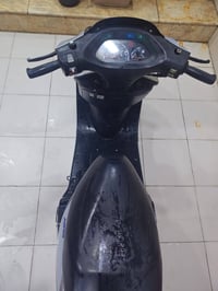 فراشة جديدة • النجف • قابل تفاوض