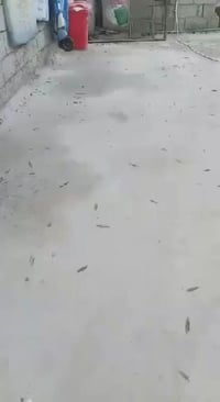 بيت • ٢٠٠م • تقاطع عدن