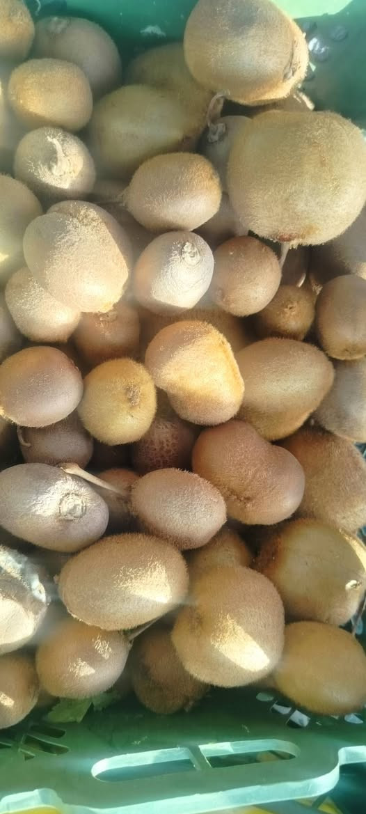 سلام عليكم ✋ بمناسبة شهر رمضان المبارك 
أرخص الأسعار وأفضل أنواع الفواكه والخضراوات ولحموضيات درجة الاولئ 
🔴 يوجد كافه أنواع الخضروات والفواكه 

 🔴 ويوجد حلويات  وعصائر و تمر

🔴 یوجد توصيل داخل داقوق مجاني


**إذا كنت صاحب هذا الإعلان وتريد حذفه لأي سبب، رجاءا أرسل رسالة إلى الدعم الفني**