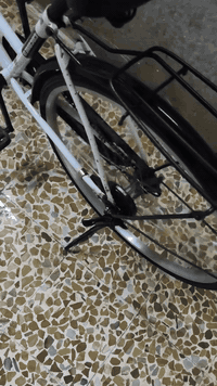 السلام عليكم بيسكلات للبيع حجم 26الابيض100الاسود110العنون موصل حي سومر للتوصل وتساب ***********
