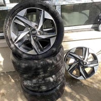 تخم وياله حجم 17 كوريات  ام الختم   مكفول من العواج والكص   يرهم النتر...