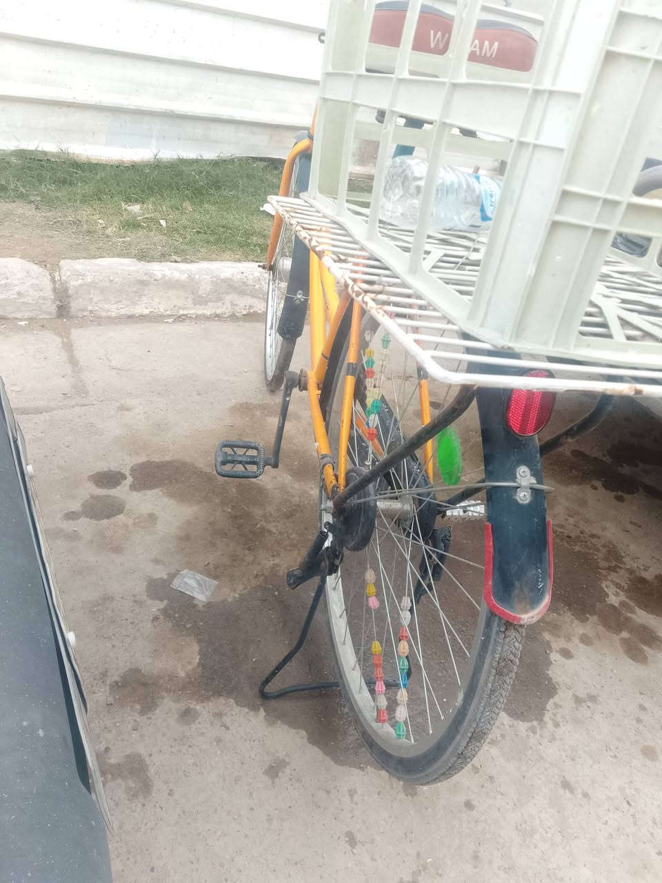 سلام عليكم باسكال بناتي للبيع سعر 50وبي مجال مكان حي الجهاد ***********
