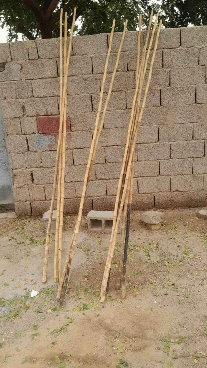 سلام عليكم 
مرخصت مدير الكروب 
خيزران للبيع العدد 10
الطول 3متر 
للاستفسار ‏‪***********‬‏
