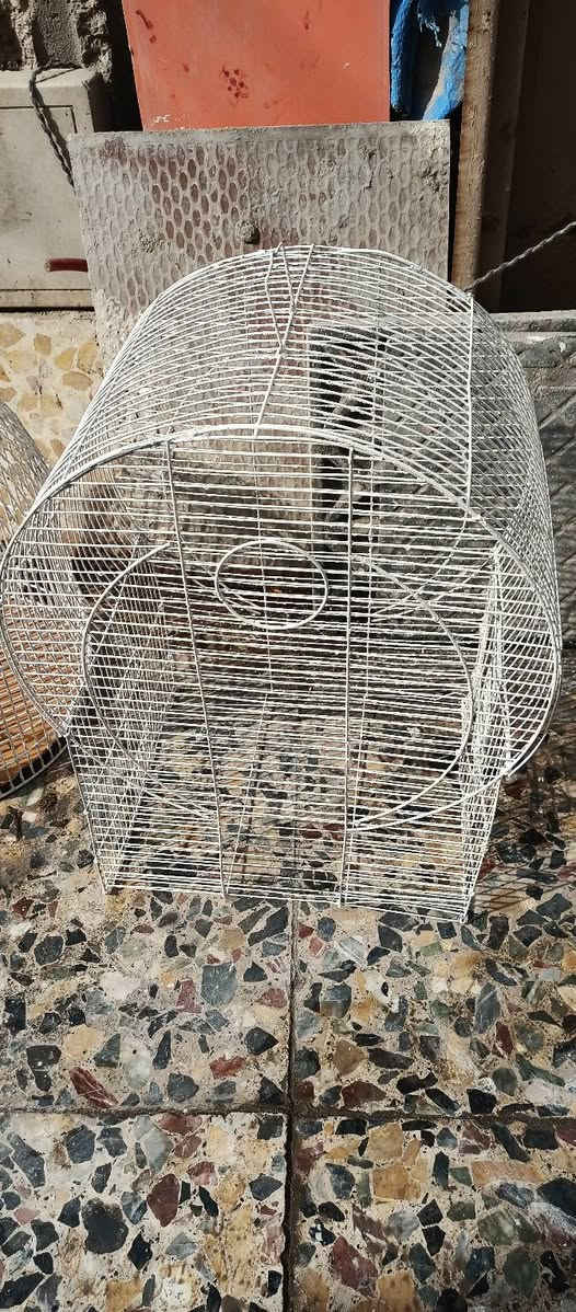 السلام عليكم اقفاص لبيع


**إذا كنت صاحب هذا الإعلان وتريد حذفه لأي سبب، رجاءا أرسل رسالة إلى الدعم الفني**